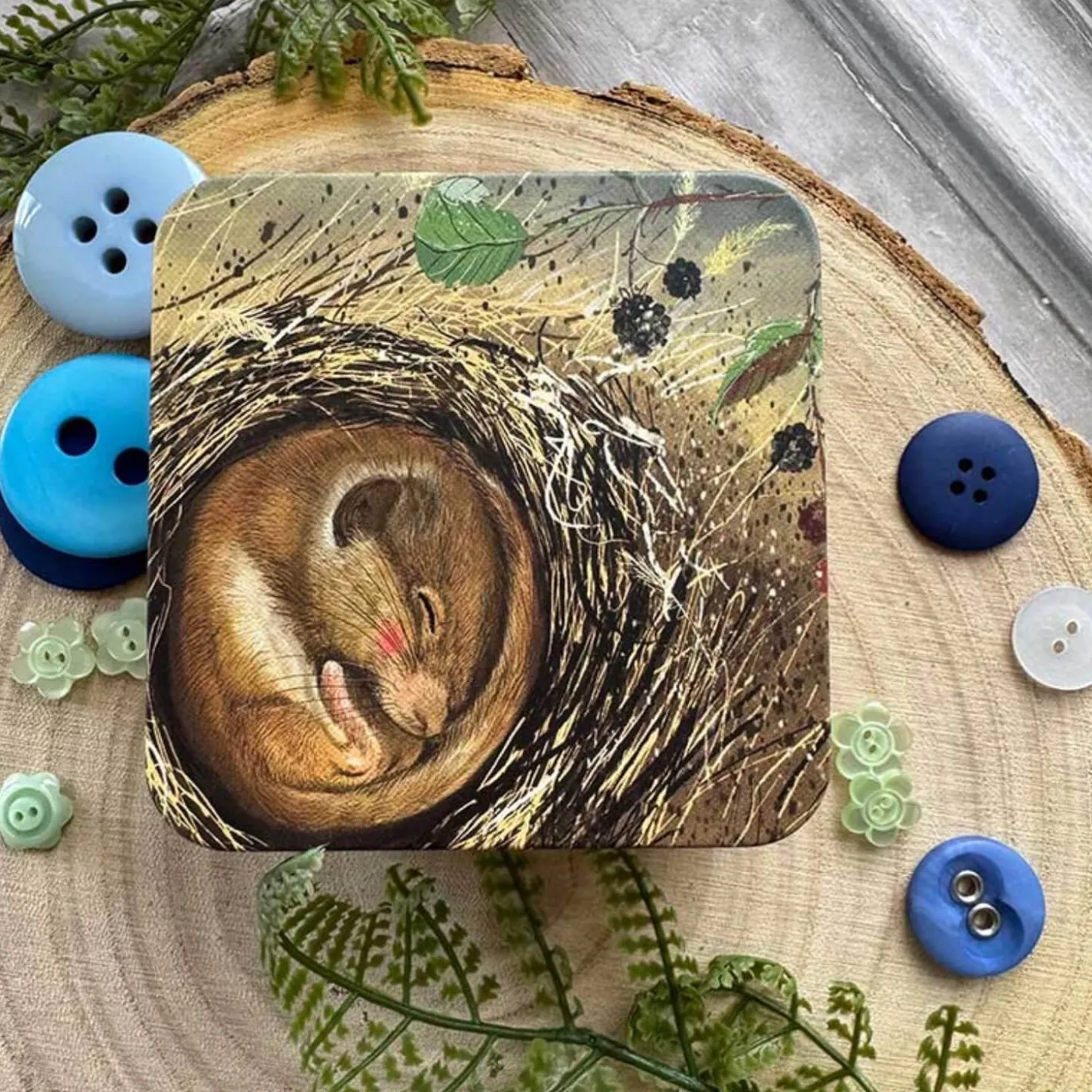 Alex Clark Small Square Tin - Sleeping Dormouse