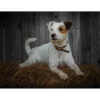 iStyle Rural Roots Rectangular Glass Worktop Saver - Jack Russell