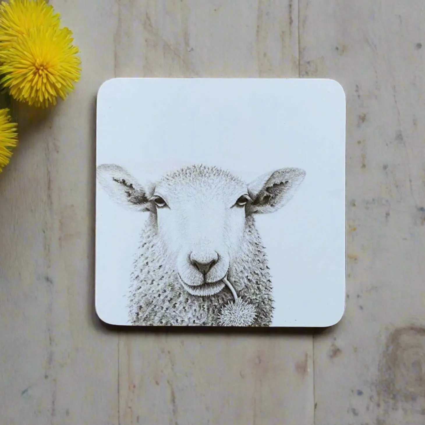 Katherine Sheard Coaster - Baaley Sheep
