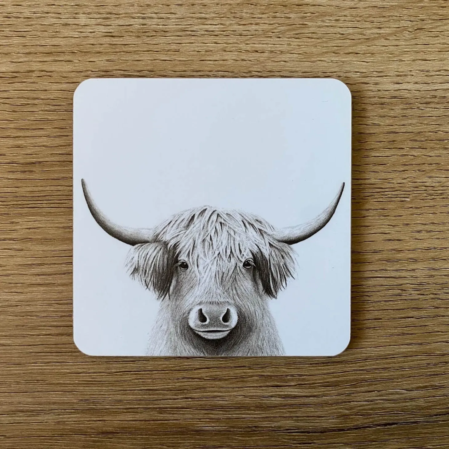 Katherine Sheard Coaster - Bessie Moo