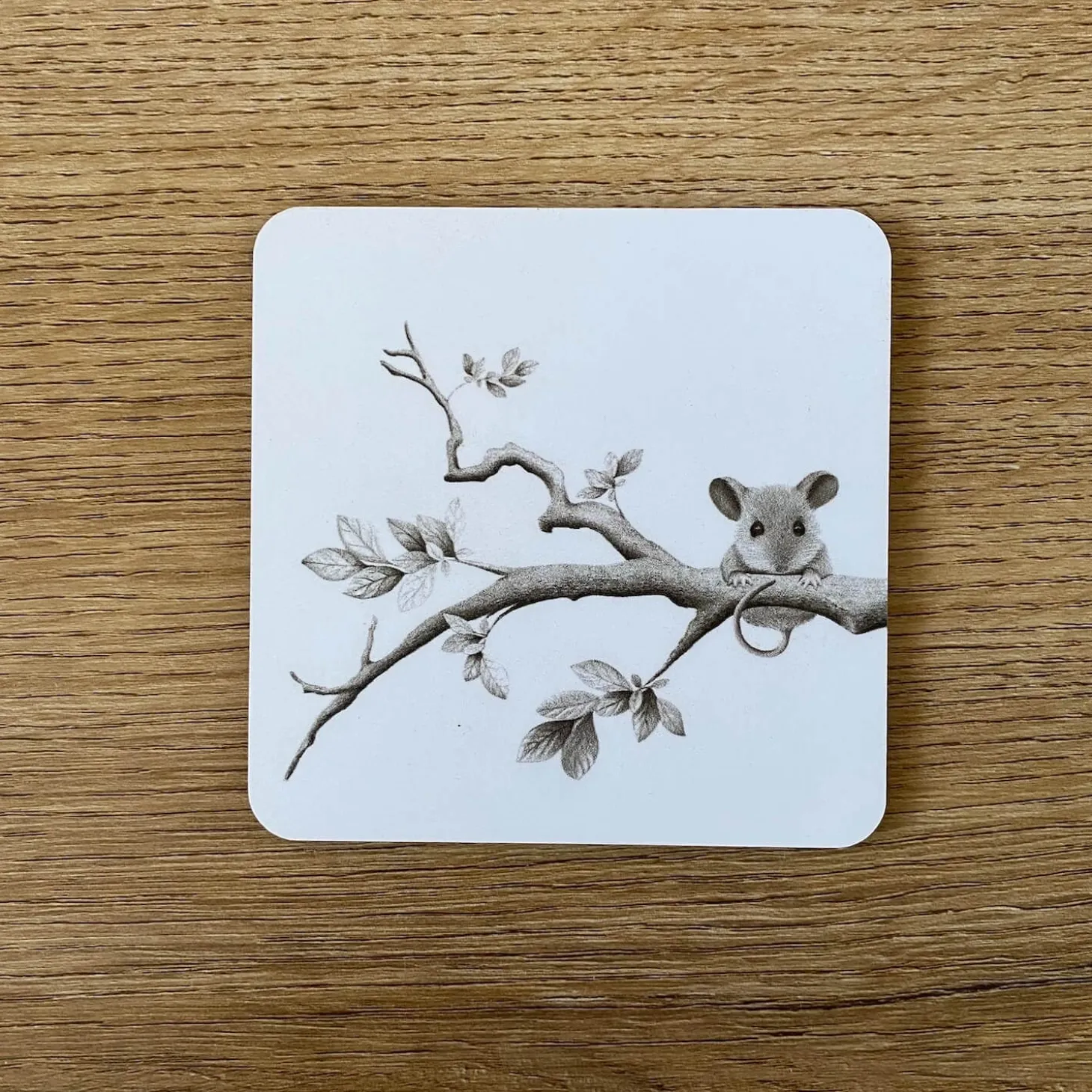 Katherine Sheard Coaster - Mouse On A Branch