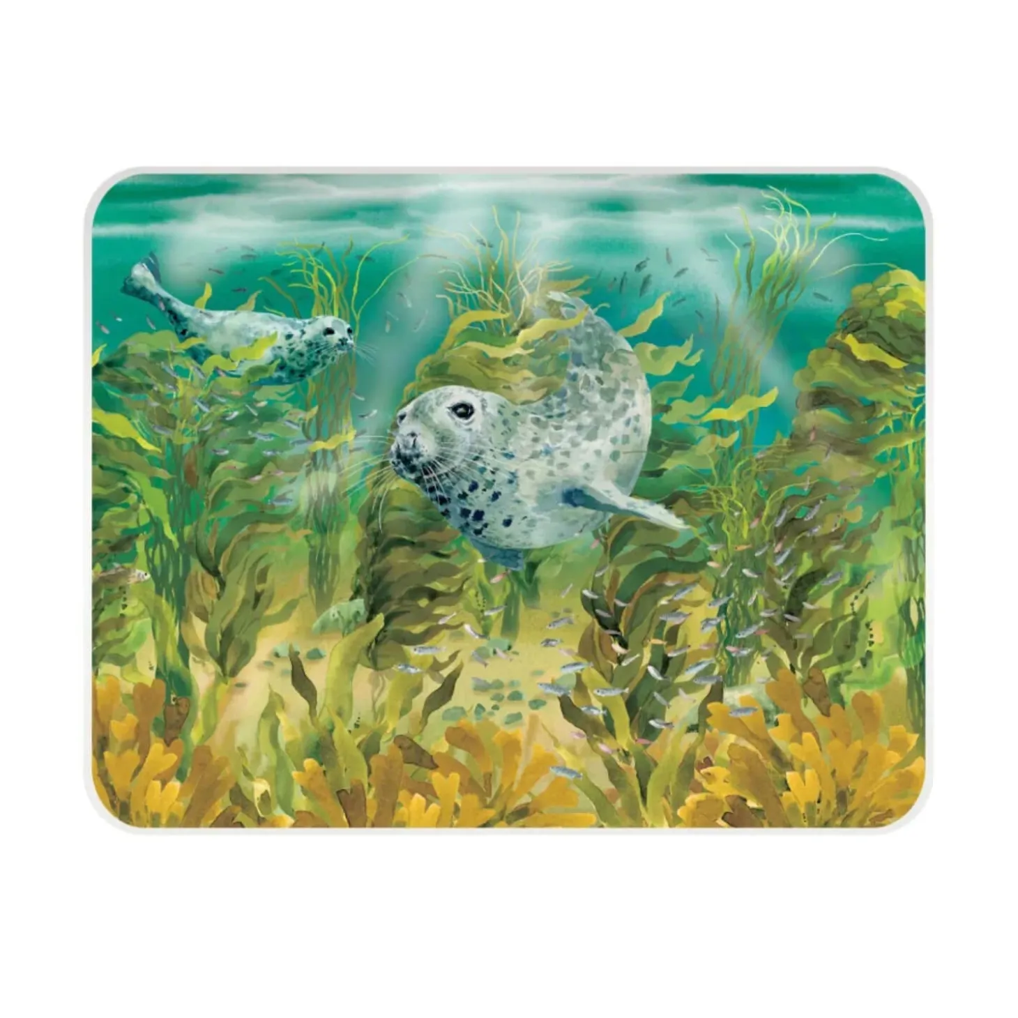National Trust Medium Glass Worktop Protector - Seals