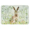 National Trust Medium Glass Workstop Saver - Hare