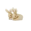 Peter Rabbit First Booties Set