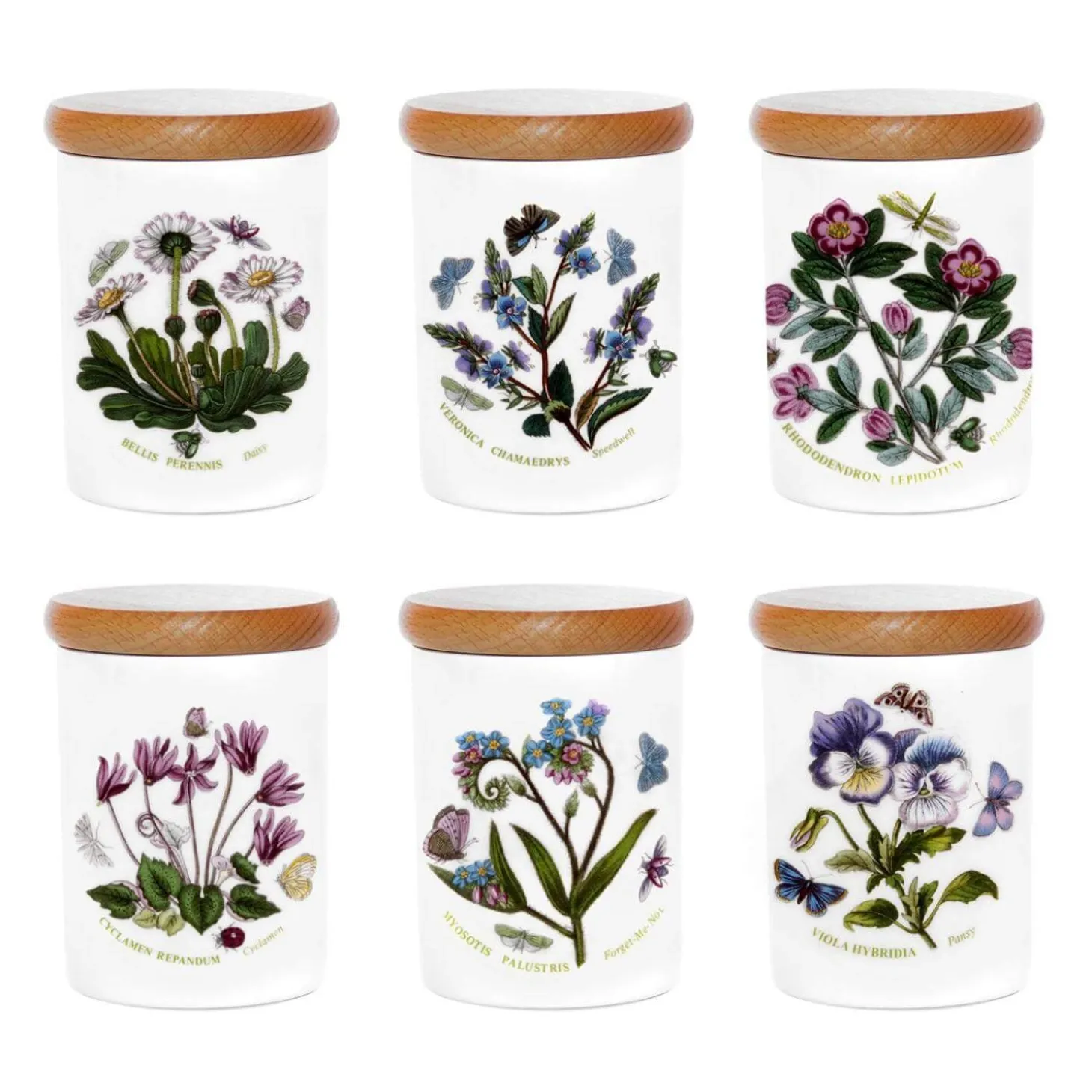 Portmeirion Botanic Garden 4" Airtight Storage Jar - Assorted