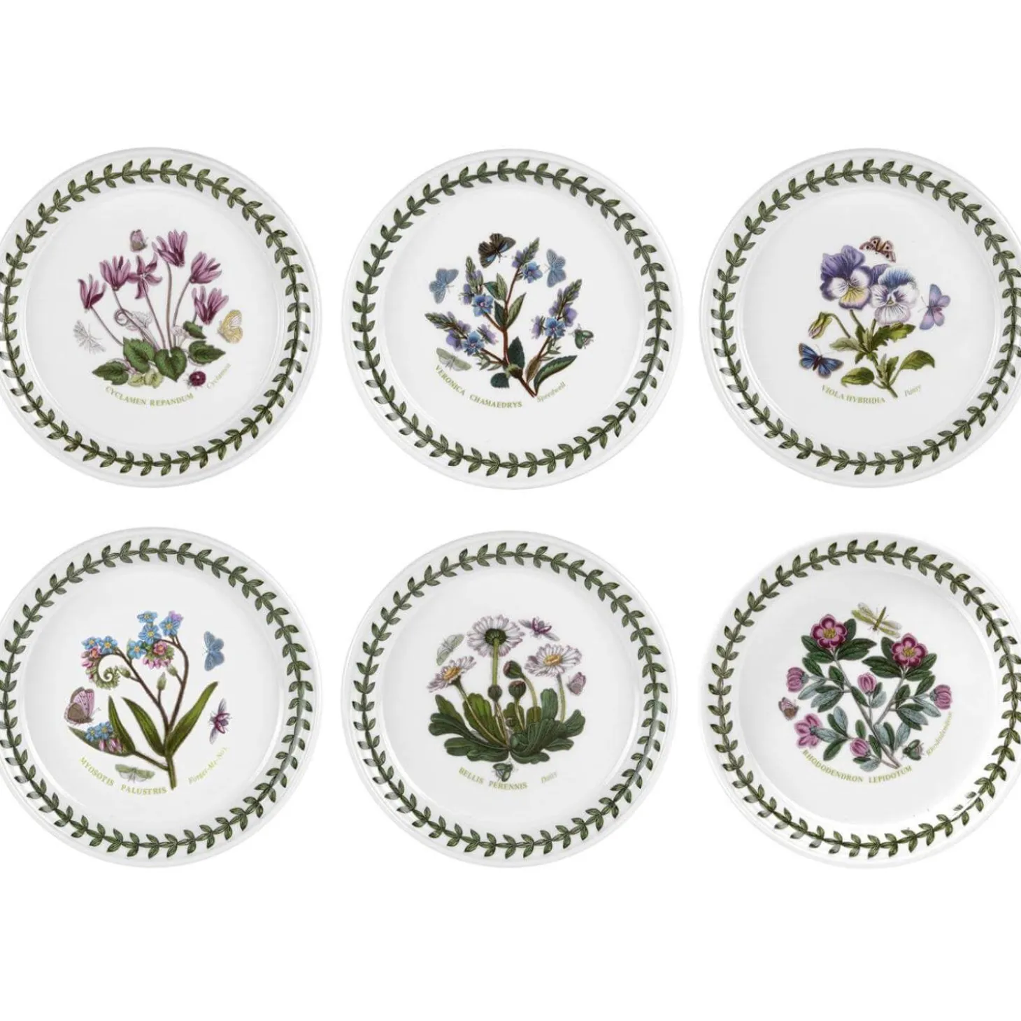 Portmeirion Botanic Garden 6" Bread Plate - Assorted