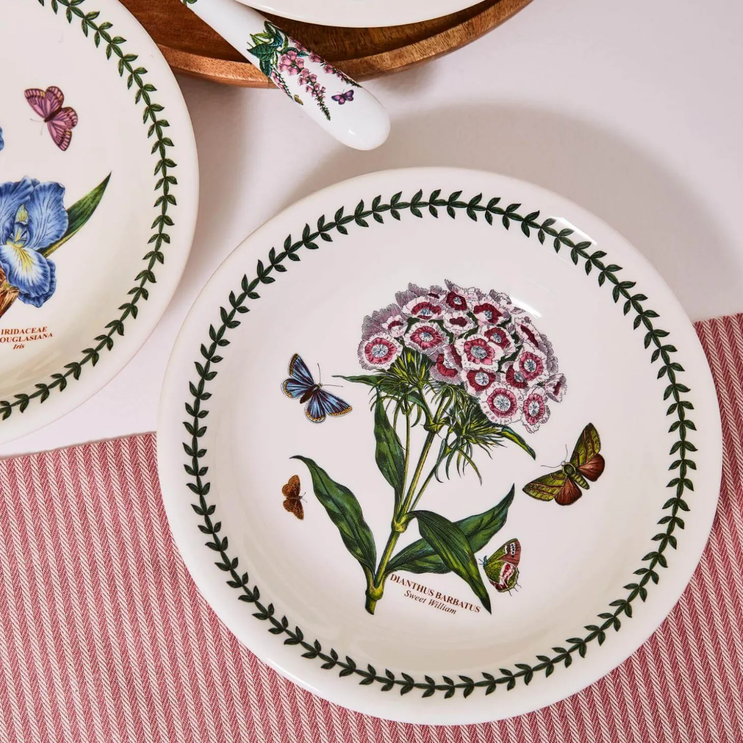 Portmeirion Botanic Garden 6" Bread Plate - Assorted