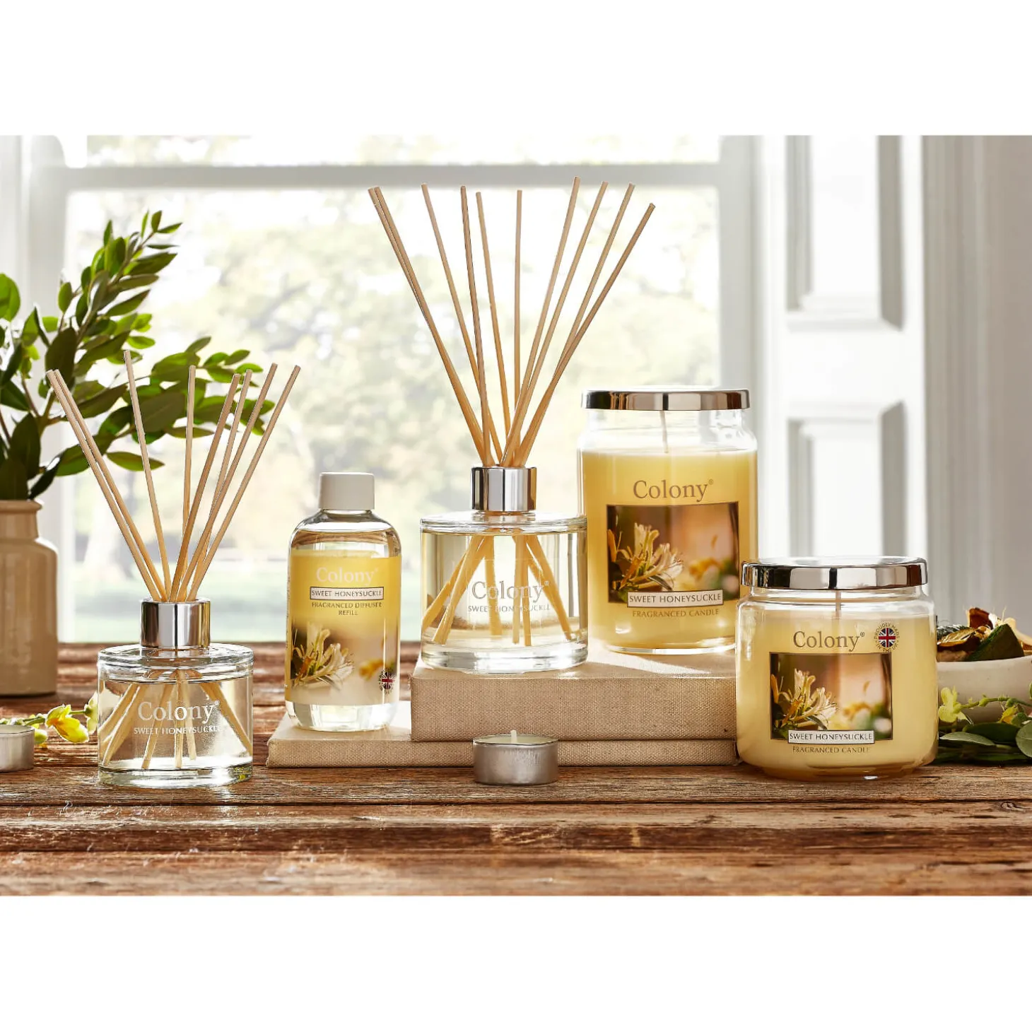 Wax Lyrical Colony Medium Scented Candle Jar - Sweet Honeysuckle