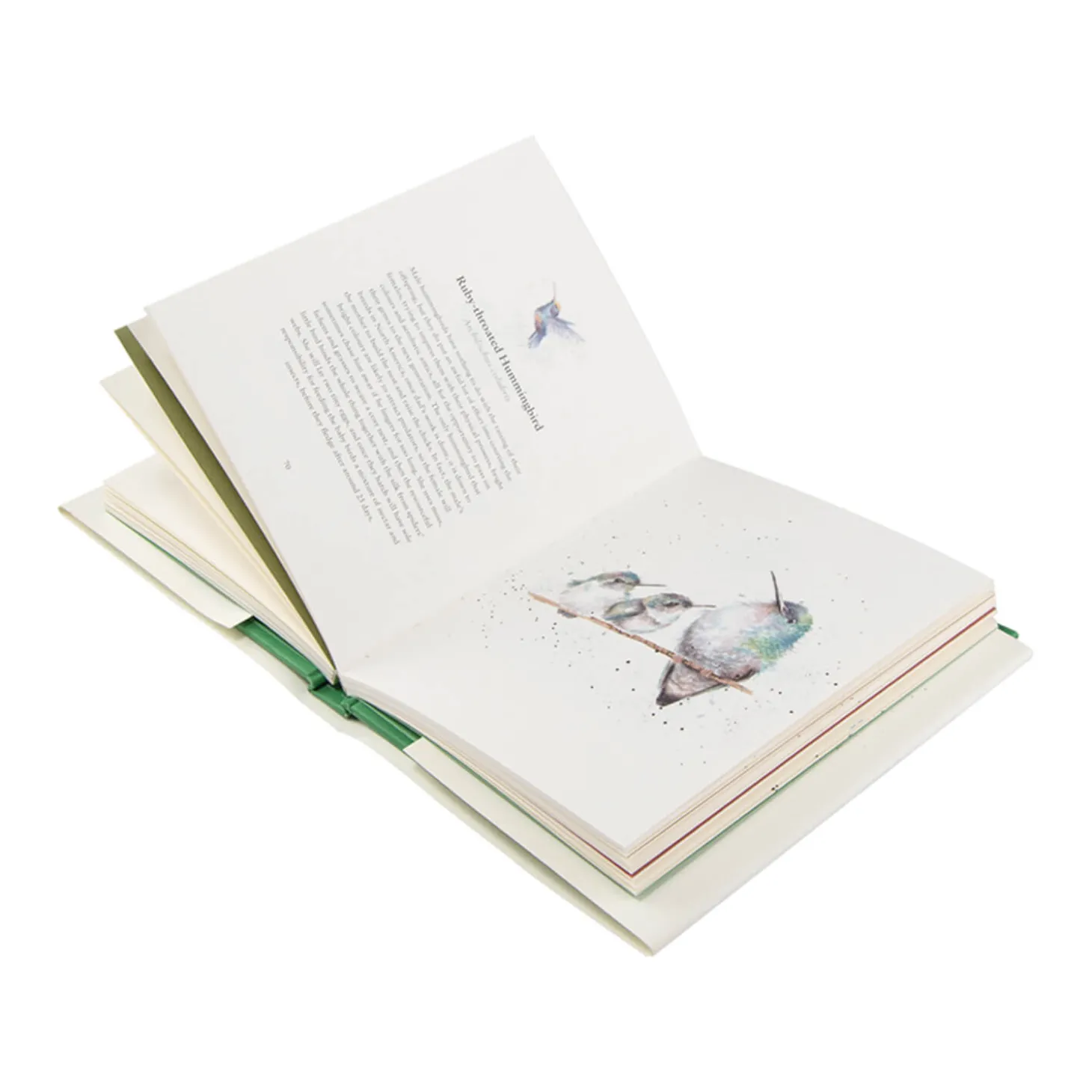 Wrendale Designs Book by Hannah Dale - Born To Be Wild