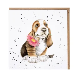 Wrendale Designs by Hannah Dale Card - Just For You - Basset Hound