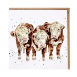 Wrendale Designs by Hannah Dale Card - Paddy, Percy & Pedro - Cows