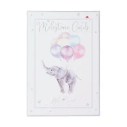 Wrendale Designs by Hannah Dale Little Wren Milestone Cards