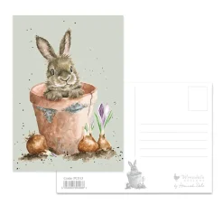 Wrendale Designs by Hannah Dale Postcard - The Flower Pot