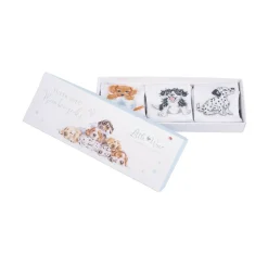 Wrendale Designs Little Wren Little Paws Dog Bamboo Baby Socks - 0-6 Months